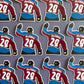 Colorado Hockey Sticker