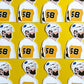CLEARANCE: Pittsburgh Hockey Sticker